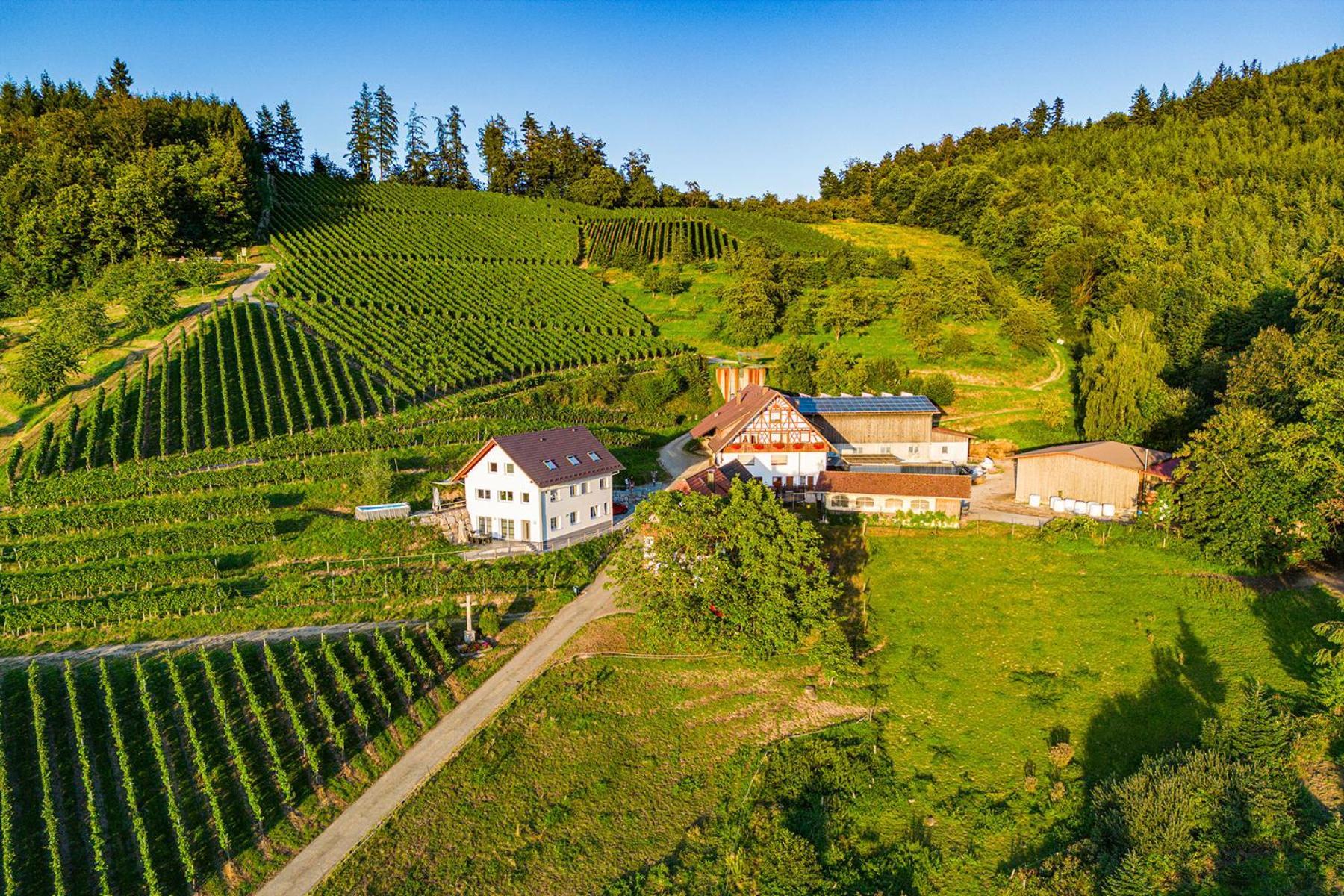 Paradieshof Lautenbach Luaran gambar